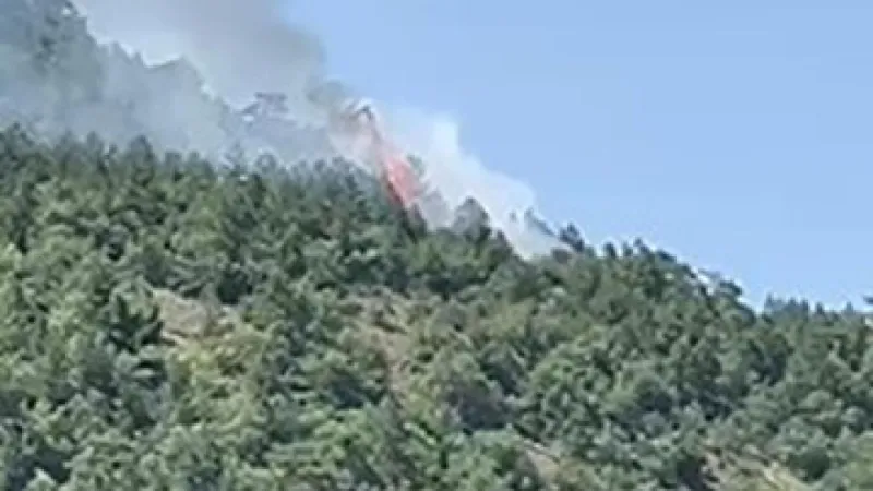 Ankara'da orman yangını