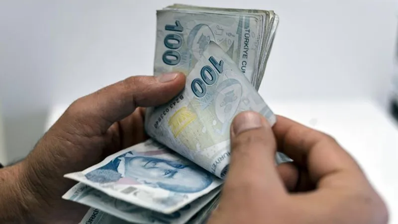 Bakanlık açıkladı: 263 milyon lira tarımsal destekleme ödemesi yapılacak