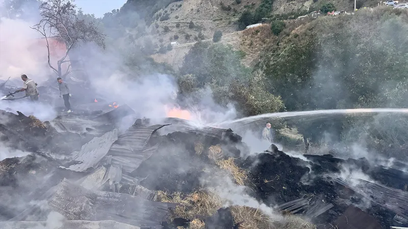 Bolu'nun Mudurnu ilçesinde çıkan yangın kontrol altına alındı