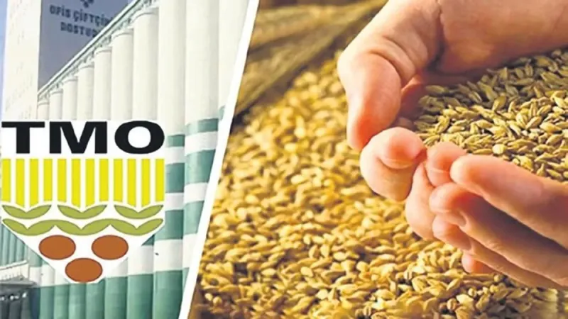 Buğday 13.500, arpa ise 11 bin TL’den alınacak
