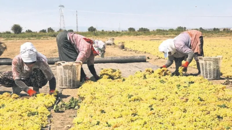 Çiftçilere 2.5 milyar TL tazminat ödemesi