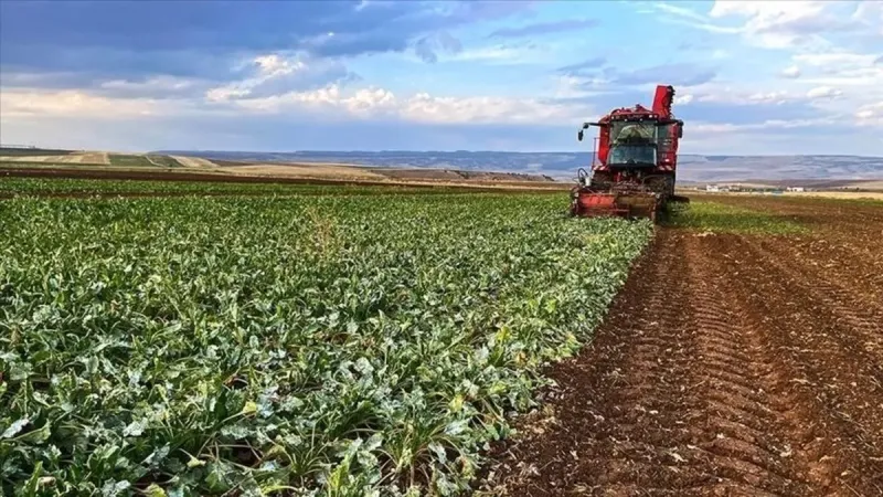 Çiftçiye Müjde! 274 Milyon TL Destek Ödemesi Hesaplara Yatıyor