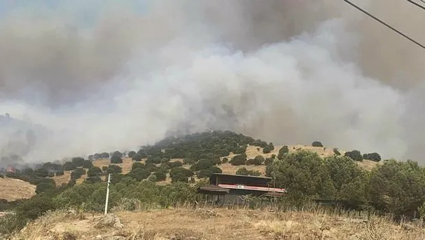 Aydın'da Yangın Felaketi! Alevler Yerleşim Yerlerini Tehdit Ediyor