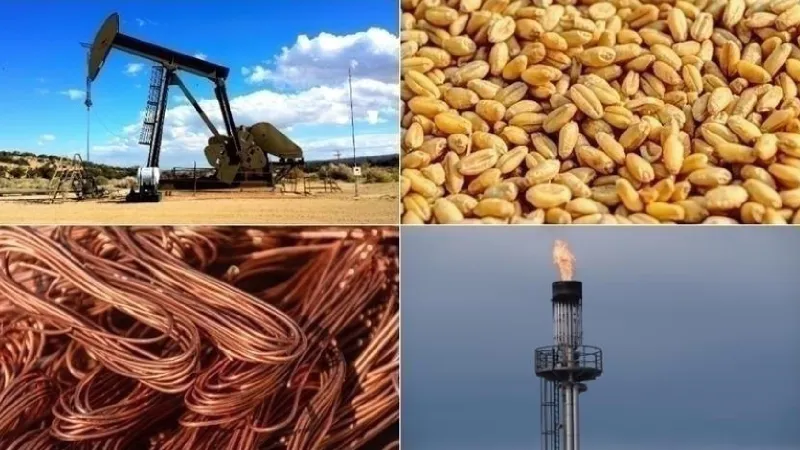 Emtia Piyasasında Şok Dalgalanma! Yatırımcılar Ne Yapmalı?