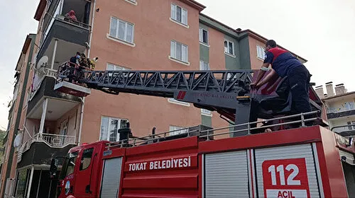 Fareleri kaçırmak isterken dört kişiyi hastanelik ettiler
