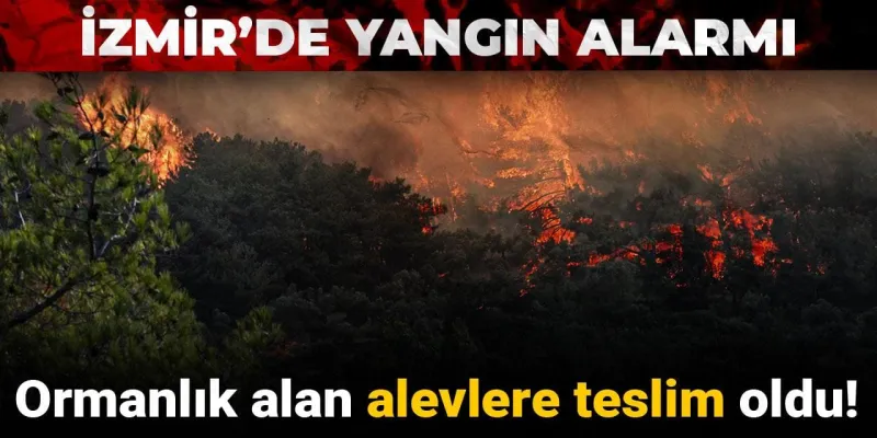 İzmir’de yangın alarmı: Ormanlık alan alevlere teslim oldu!