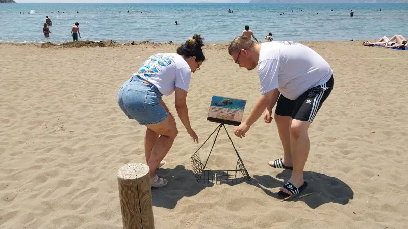 İztuzu'nda Rekor! Caretta Caretta Yuva Sayısı 300'ü Aştı!