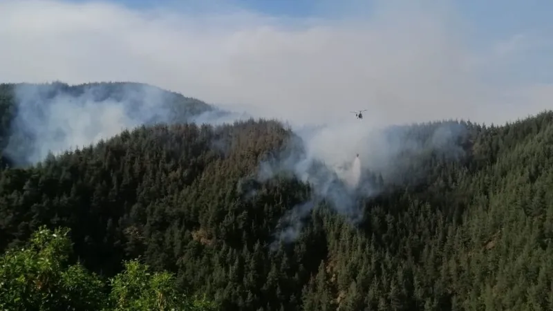 Kahramanmaraş'ta orman yangını