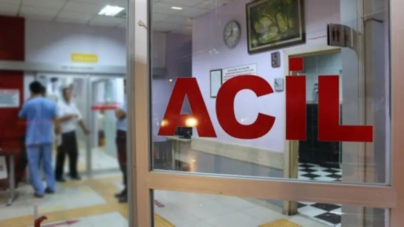 Kars'ta ayı saldırısına uğrayan kişi ağır yaralandı