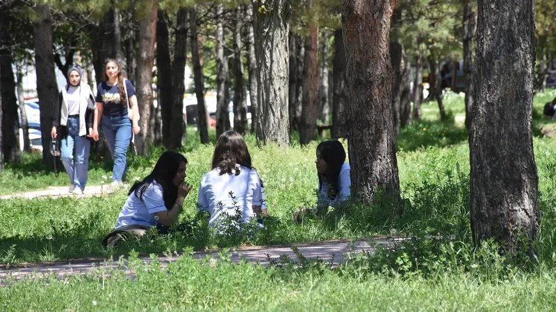 Keneden buşalan Kırım Kongo Kanamalı Ateşi için 'mRNA aşısı' umudu