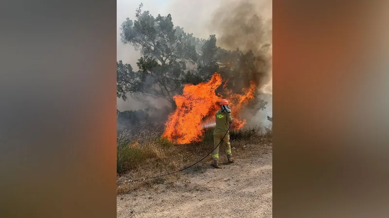 Muğla'da orman yangını: 2 hektar orman zarar gördü