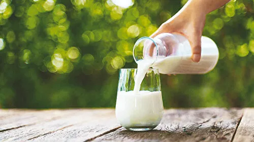 Süt Firmalarına Şok Soruşturma! Fiyat Mı Arttırıyorlar?