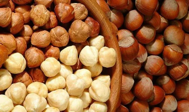 Giresun'da Fındık Fiyatları 132-140 Lira Aralığında Seyrediyor