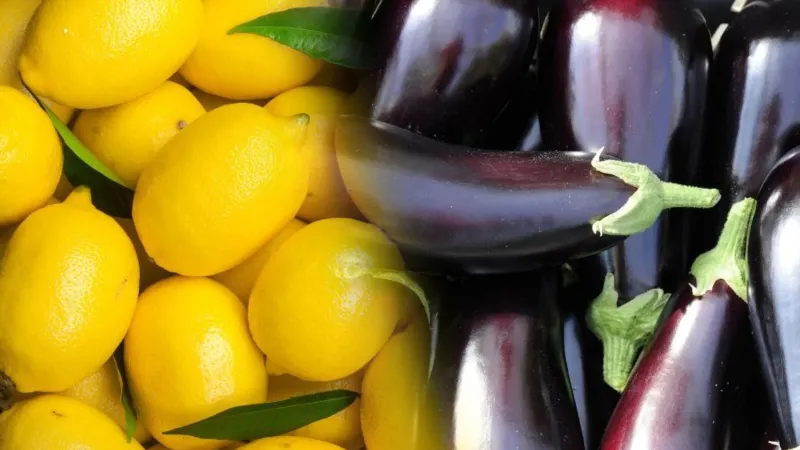 İstanbul'da Şok! Limon Uçtu, Patlıcan Çakıldı! İşte Nisan Ayı Fiyatları