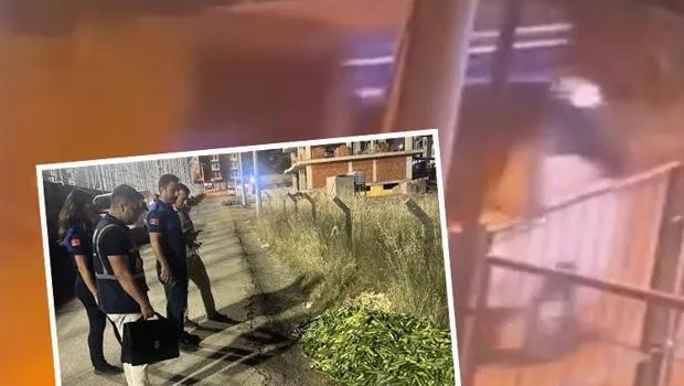 Salatalık İsrafına Rekor Ceza! İşte Olayın Perde Arkası