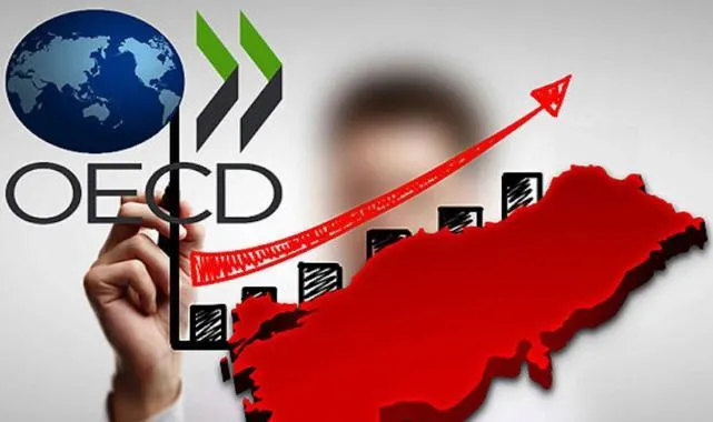 OECD, Türkiye ekonomisinin bu yıl yüzde 2,9 büyüyeceğini tahmin etti