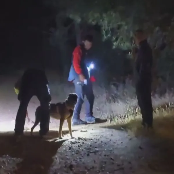 Pendik'te Ormanda Kayıp! Şaban Aksoy'a Ne Oldu?