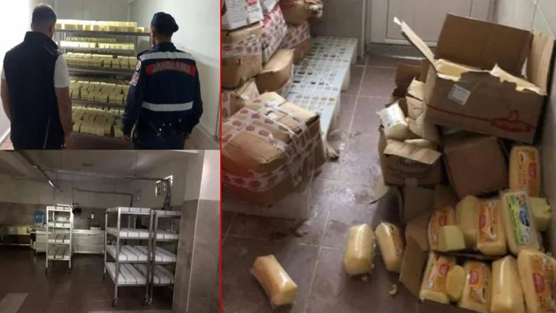 Sakarya'da tarihi geçmiş 5 ton kaşar peyniri ele geçirildi