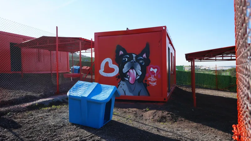 Türkiye’de ilk defa özel gereksinimli can dostlara yuva Balıkesir’de açıldı