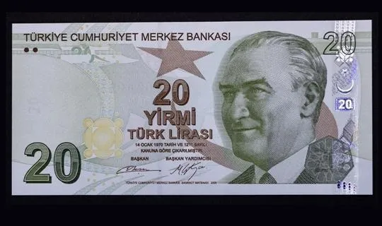 Yeni 20 TL'lik banknotlar bugün tedavüle giriyor