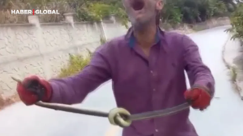 Yılanları elleriyle yakalayıp düğüm atan adam şoke etti: "Eziyet etme" diye bağırdılar